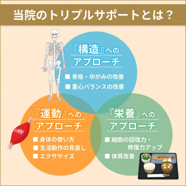 骨盤矯正×運動×栄養の3つのアプローチ